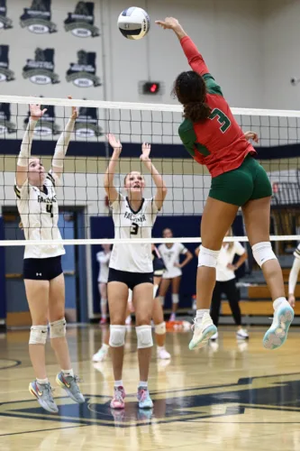 Jamestown takes down Falconer
